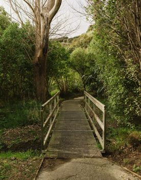 A section of the Coastal Lookout Walk in Whareroa Farm on the Kāpiti Coast. The grassy hills give a view out to Kapiti Island.