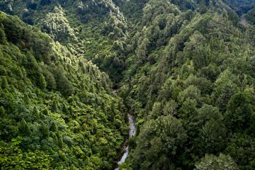 An aerial shot of the Karapoti Classic and Karapoti Challenge courses in Akatarawa Forest