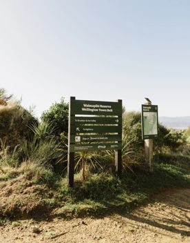 A wooden sign on the Fenceline track in Waimapihi Reserve shows directions.