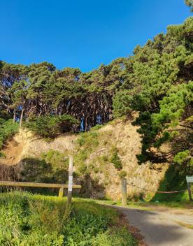 The entrance to the former Mount Victoria Quarry site sits at the base of Wellington’s Town Belt.