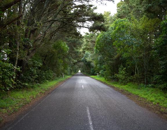 Ōtaki Gorge Road runs parallel to Ōtaki River in the Kāpiti Coast District of New Zealand’s North Island.