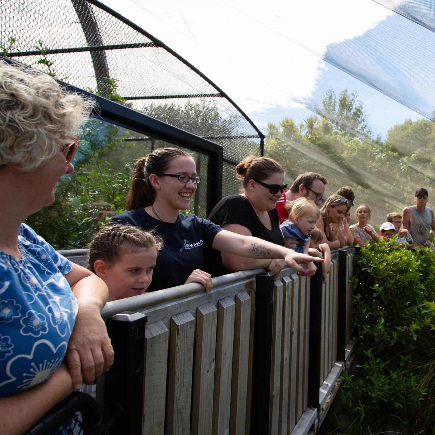 People poiting and looking into an enclusre at Pūkaha National Wildlife Centre.