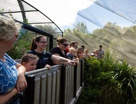 People poiting and looking into an enclusre at Pūkaha National Wildlife Centre.