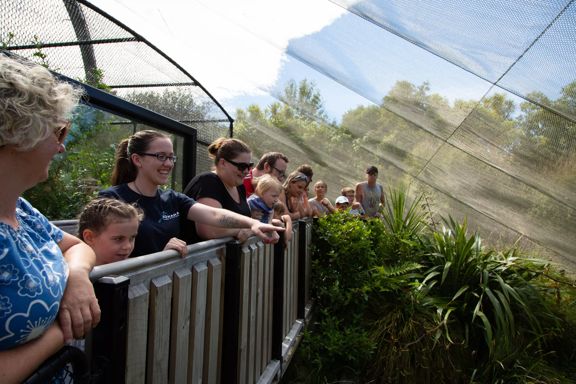 People poiting and looking into an enclusre at Pūkaha National Wildlife Centre.
