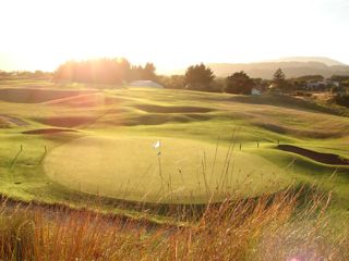 Golfing green at Paraparaumu Beach Golf Club in warm glowing light