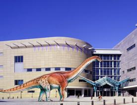 Artist’s impression of the Patagotitan mayorum shown approximately to scale on the forecourt of Te Papa.