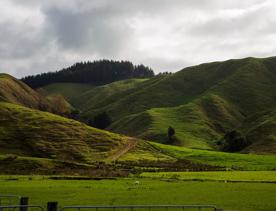 The screen location of Waitohu Valley Ōtaki, features native and exotic forests, pastoral lands, and wetlands.