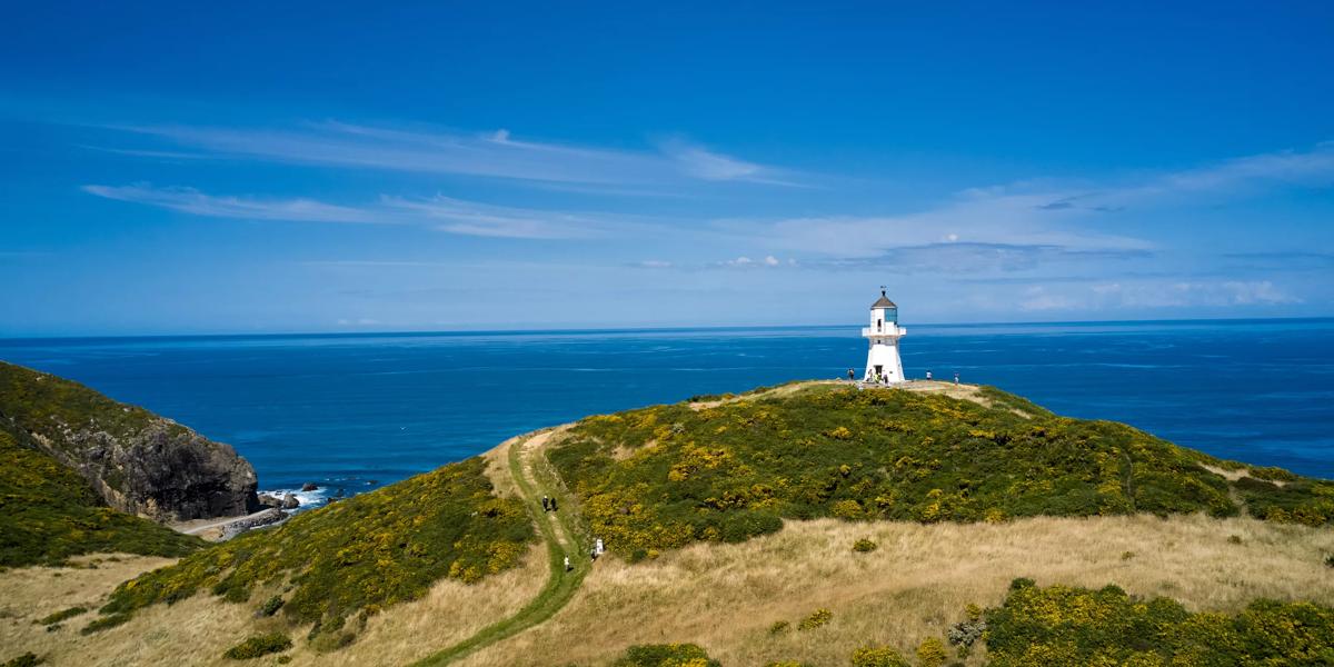 Lighthouse Track in East Harbour Regional Park – WellingtonNZ