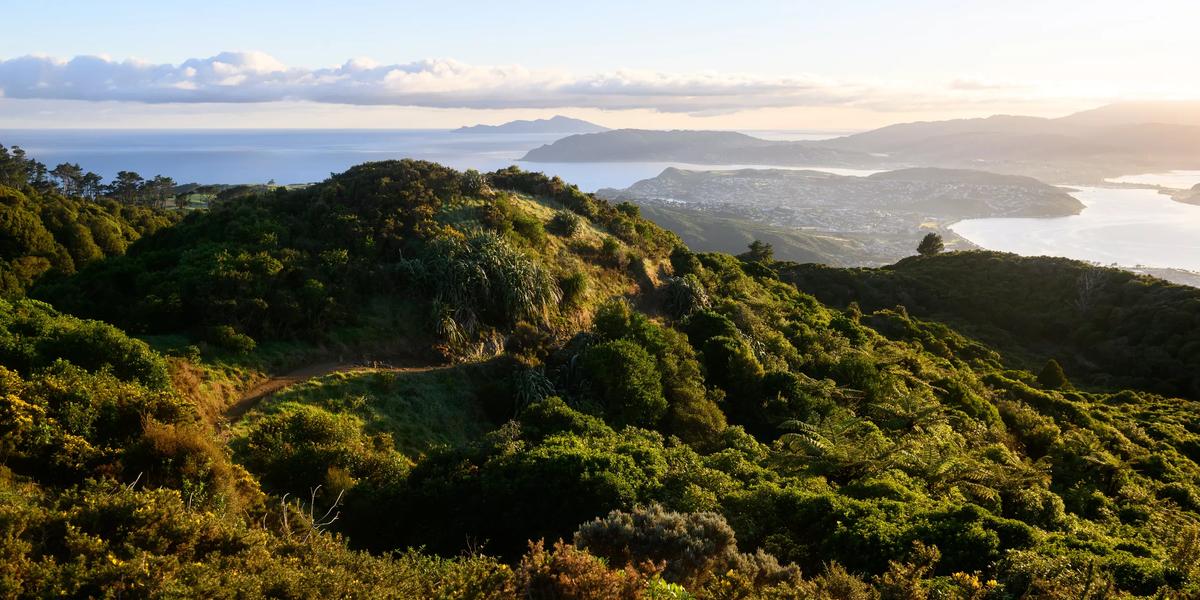 Rangituhi / Colonial Knob Walkway, Porirua - WellingtonNZ