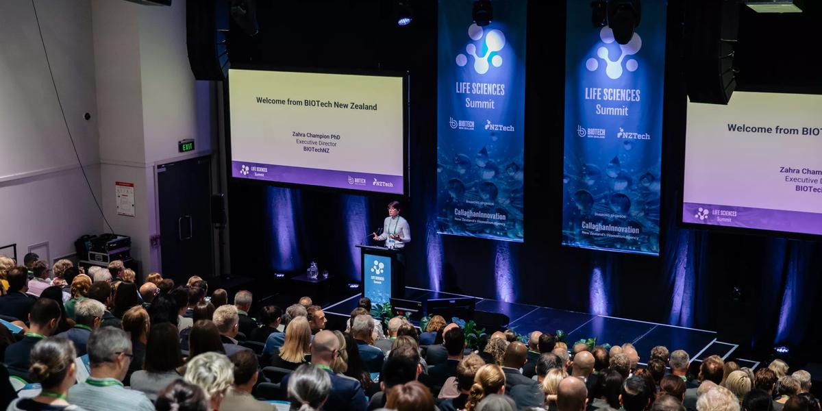 Legacy project delivers wins for Wellington in first year – WellingtonNZ