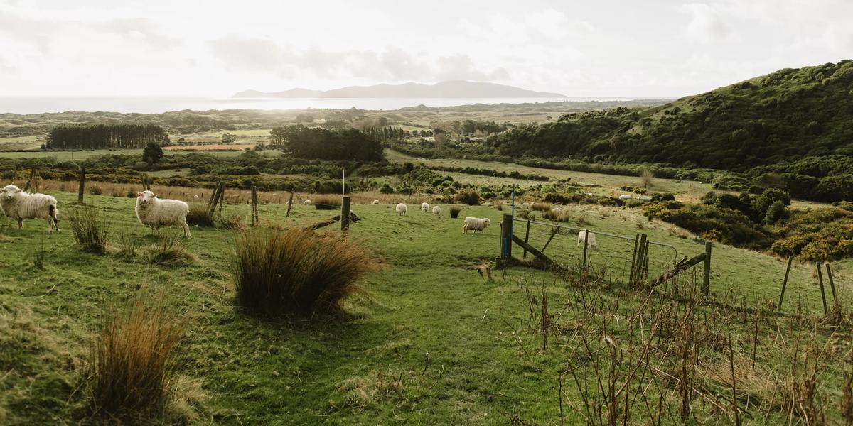 Cairn View Track, Whareroa Farm Recreation Reserve – WellingtonNZ