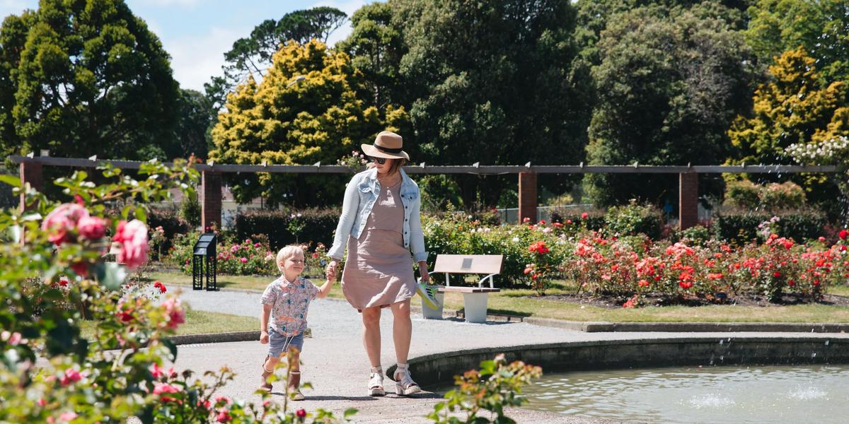 Best Wellington trails for spring - WellingtonNZ